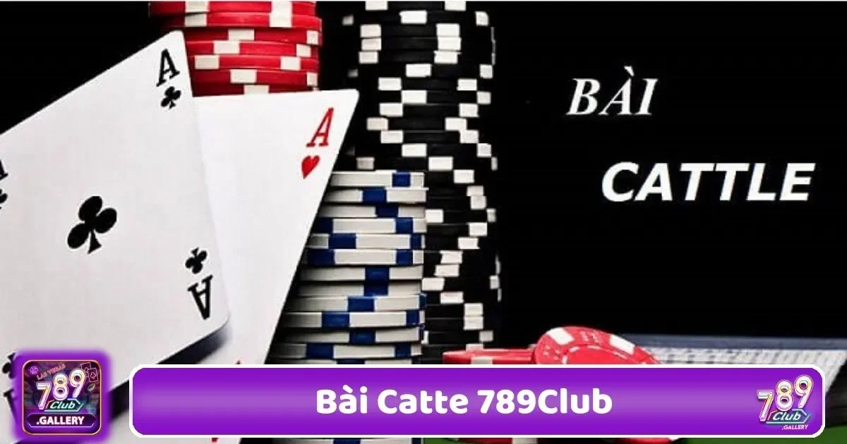 Bài Catte 789Club – Game Bài Truyền Thống Với Giao Diện Mới 3 Hướng Dẫn Chọn Chiến Thuật Chơi Catte Theo Từng Bộ Bài
