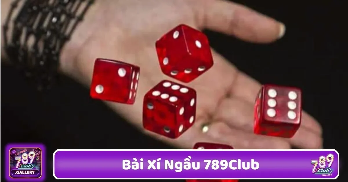 Làm Thế Nào Để Chọn Chiến Thuật Đặt Cược Tốt Nhất?