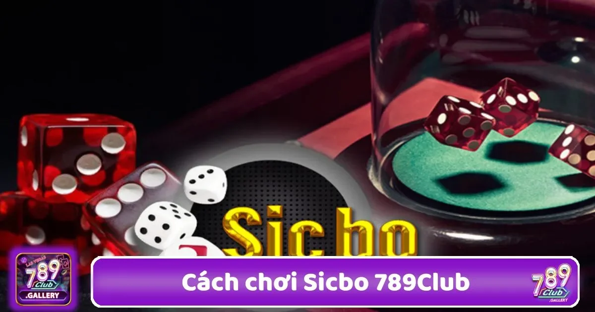 Hướng Dẫn Đặt Cược Sicbo Tại 789Club Dành Cho Người Mới