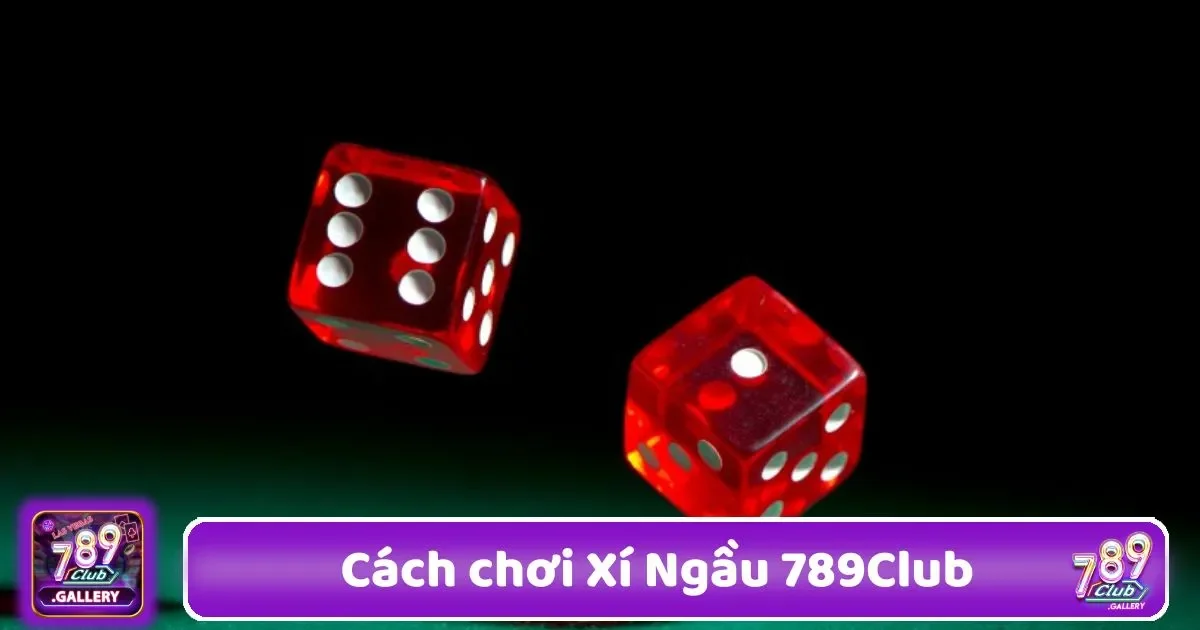 Cách Chơi Xí Ngầu 789Club – Đơn Giản Nhưng Đầy Lôi Cuốn