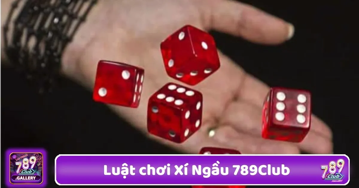 Luật Chơi Xí Ngầu 789Club – Nắm Vững Quy Tắc