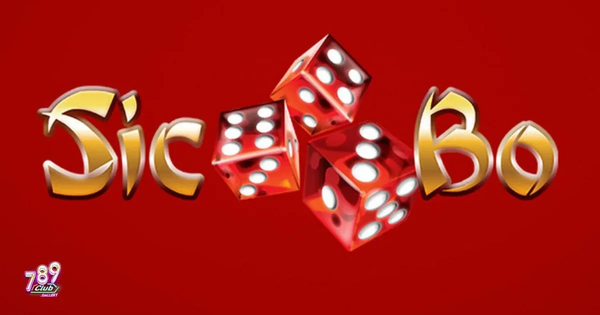 Các thuật ngữ cơ bản