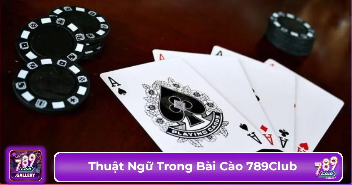Những thuật ngữ cơ bản trong bài Cào dành cho người mới